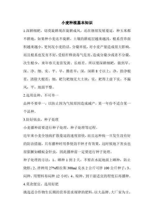 小麦种植基本知识