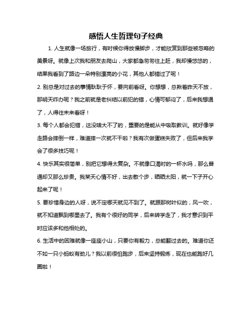 感悟人生哲理句子经典