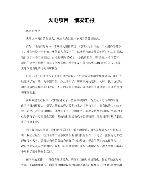 火电项目  情况汇报