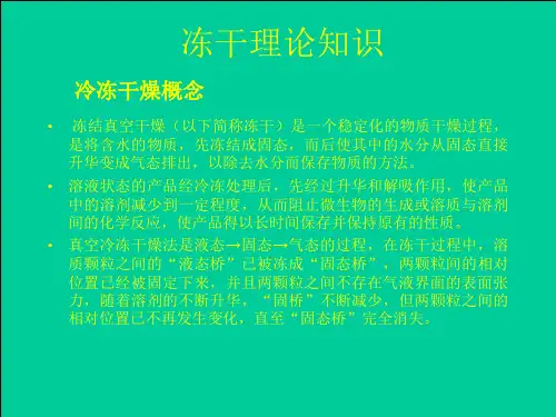 冻干机生产使用培训课件