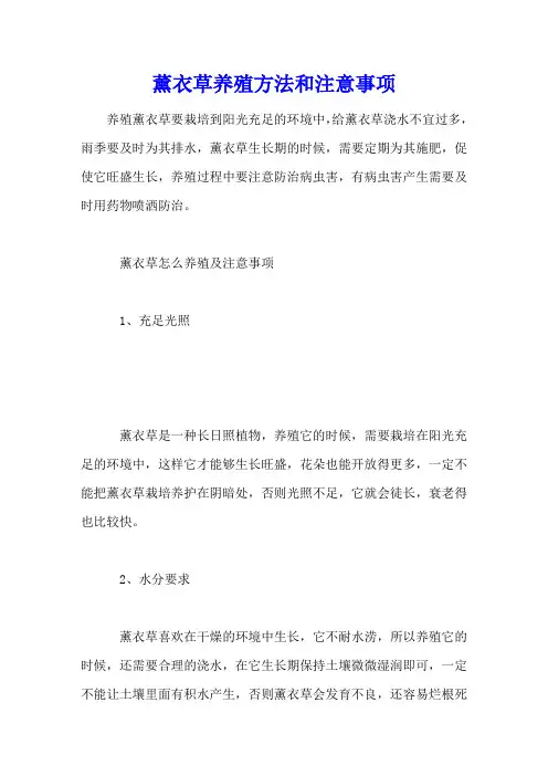 薰衣草养殖方法和注意事项