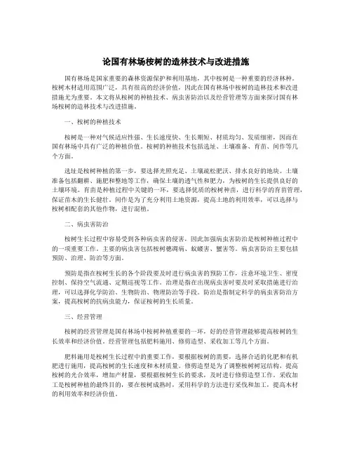 论国有林场桉树的造林技术与改进措施