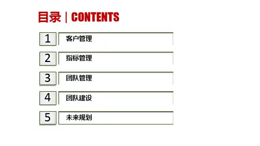 服务外包项目运营管理方案PPT课件