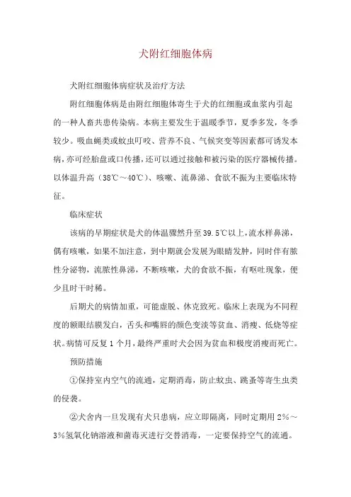 犬附红细胞体病