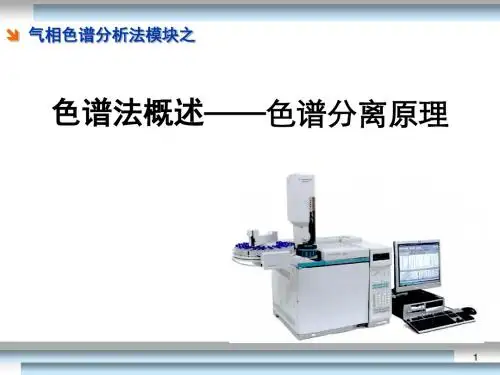 气相色谱分离原理PPT精选课件