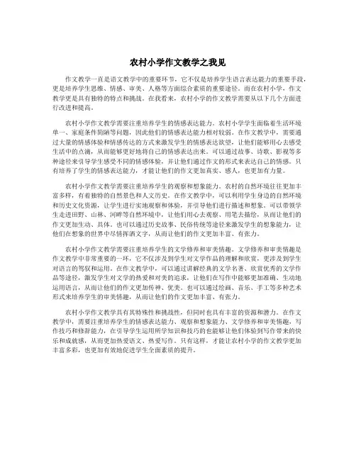 农村小学作文教学之我见
