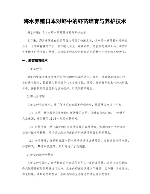 海水养殖日本对虾中的虾苗培育与养护技术