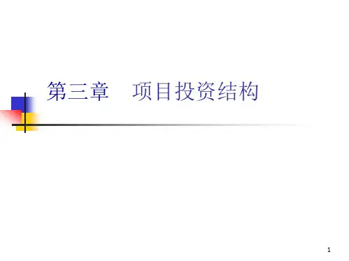 第三章 项目投资结构