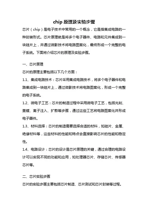 chip原理及实验步骤