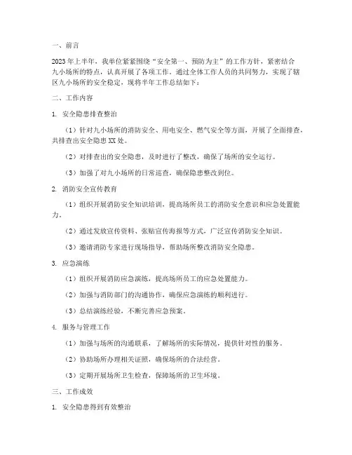 九小场所半年工作总结