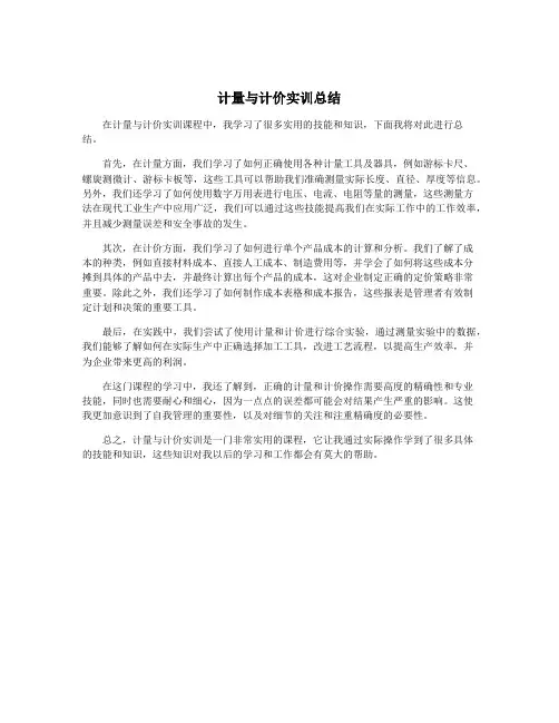 计量与计价实训总结