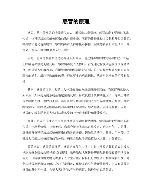 感冒的原理