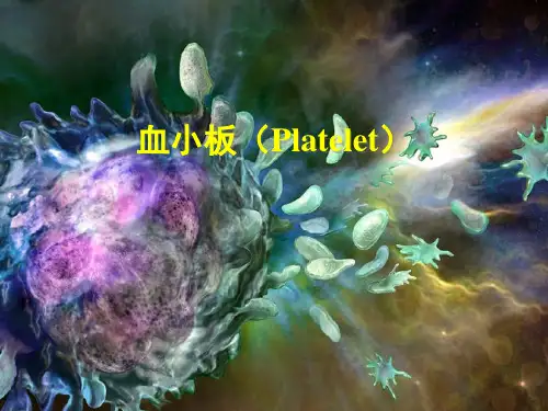 血小板(Platelet)-精品医学课件
