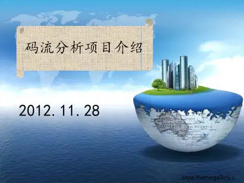 码流分析
