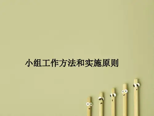 小组工作方法和实施原则