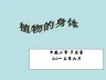 四上《植物的身体》ppt课件1