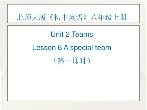 北师大课标版八年级上Unit2-Lesson-6-A-special-team