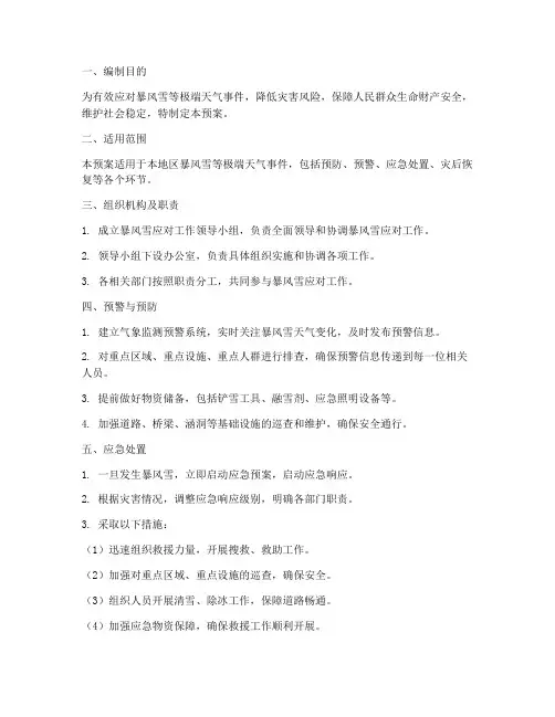 暴风雪应对专项应急预案
