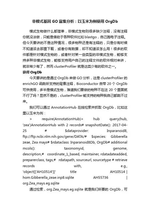 非模式基因GO富集分析：以玉米为例使用OrgDb