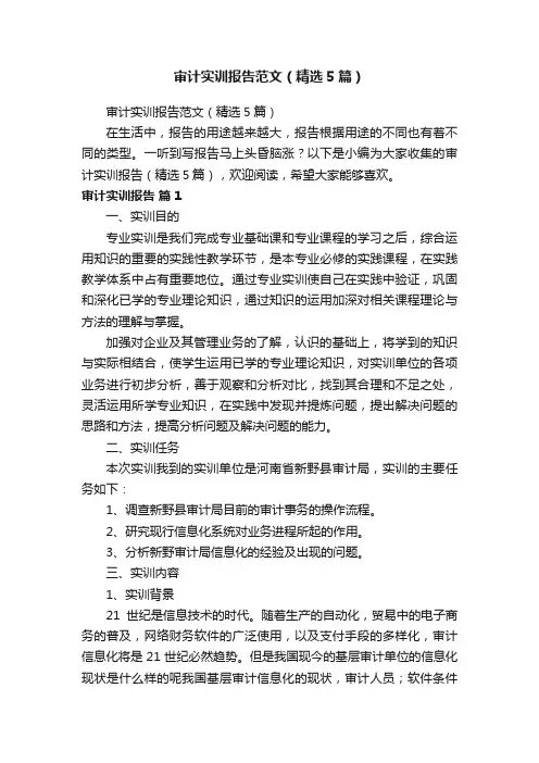审计实训报告范文（精选5篇）