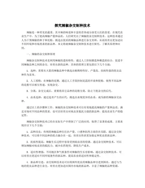 探究辣椒杂交制种技术