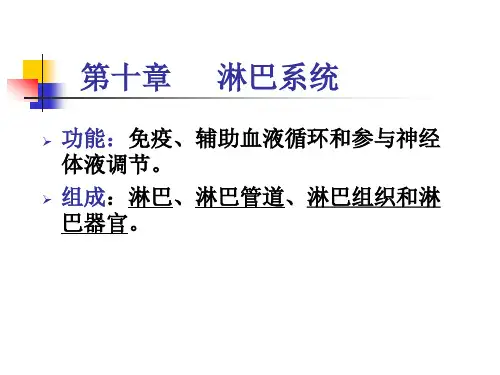 家畜解剖课件：淋巴系统
