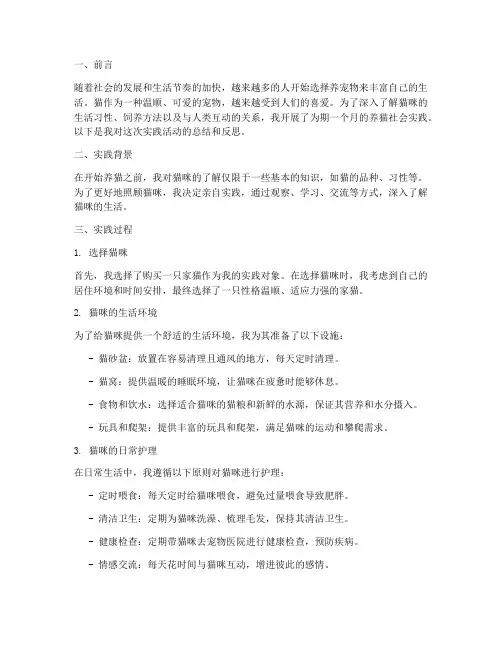 养猫社会实践报告