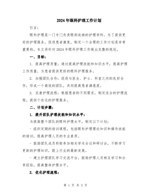 2024年眼科护理工作计划