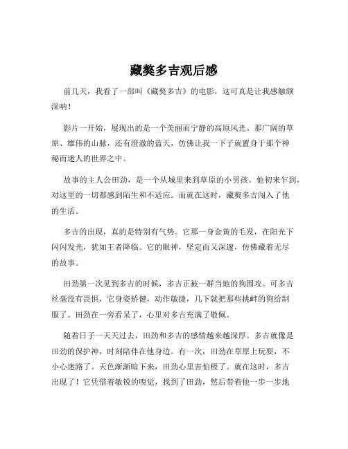藏獒多吉观后感