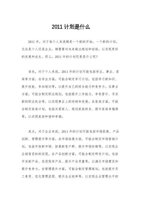 2011计划是什么
