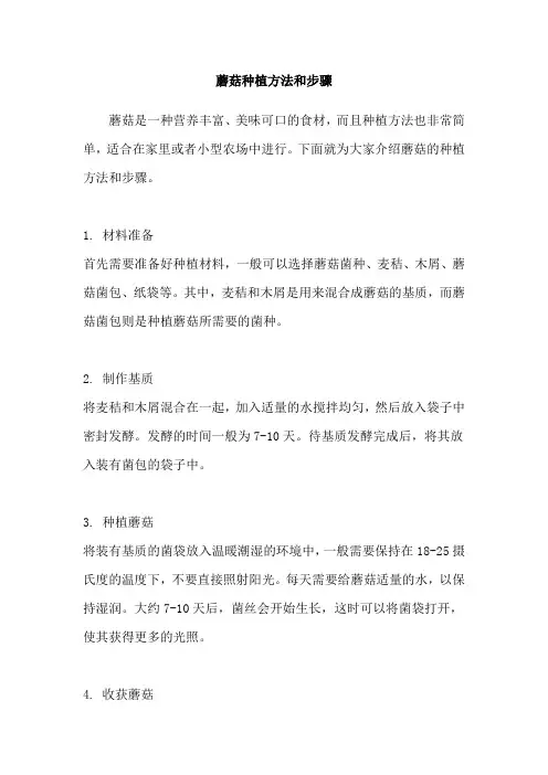 蘑菇种植方法和步骤