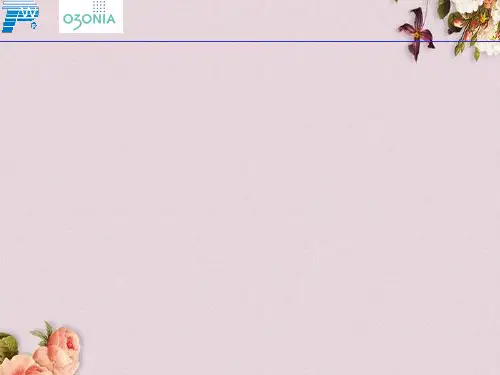 臭氧系统简要介绍(ppt 23页)