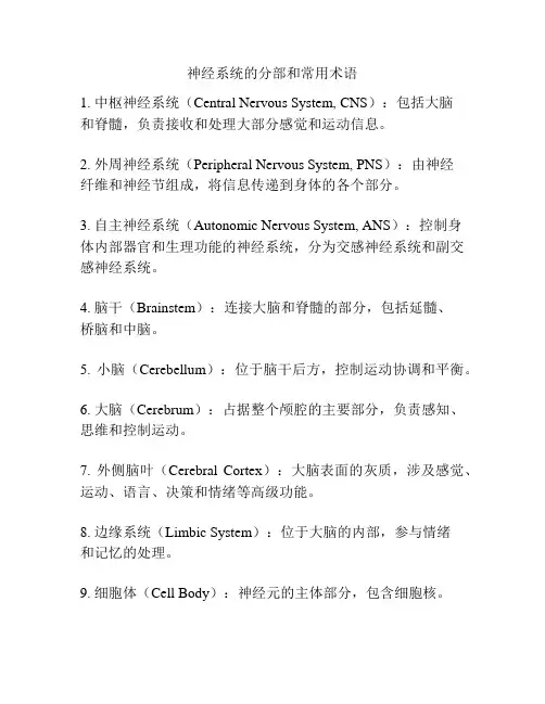 神经系统的分部和常用术语