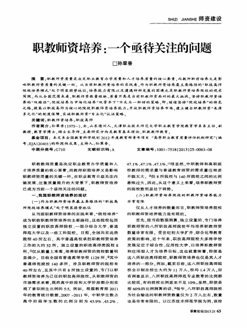 职教师资培养：一个亟待关注的问题