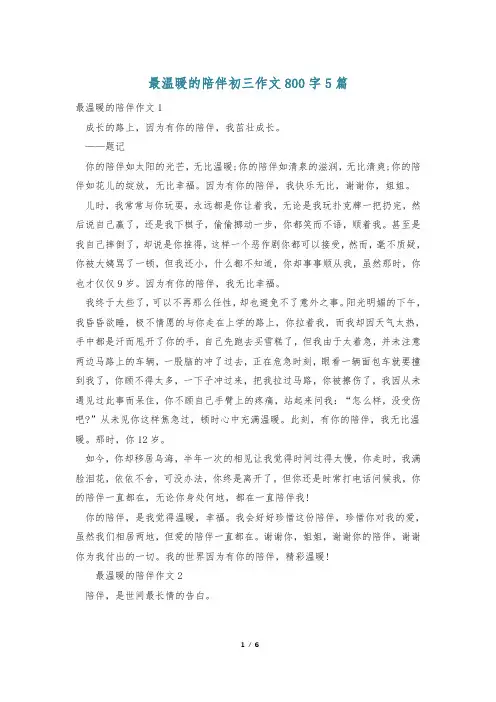 最温暖的陪伴初三作文800字5篇