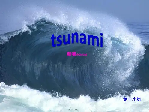 tsunami海啸介绍英语PPT(共8张)
