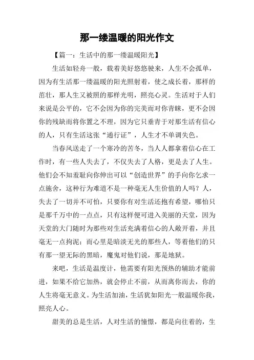 那一缕温暖的阳光作文