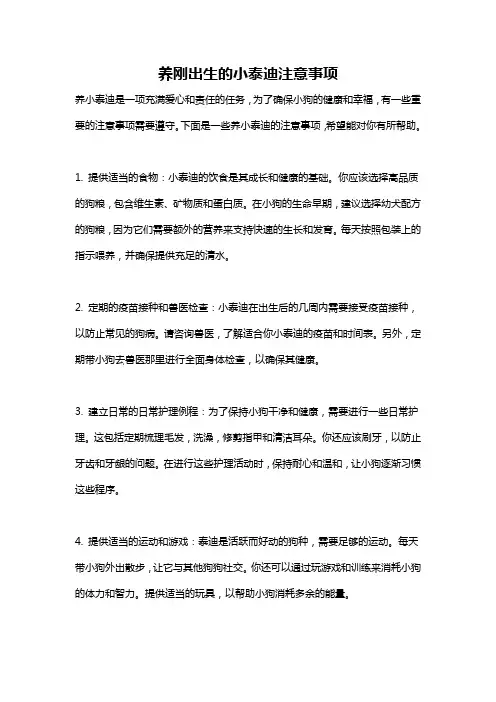 养刚出生的小泰迪注意事项