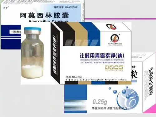β-内酰胺类抗生素