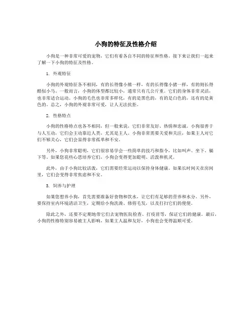 小狗的特征及性格介绍