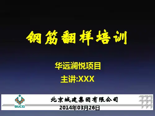 认识钢筋翻样讲座终稿