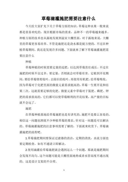草莓滴灌施肥需要注意什么