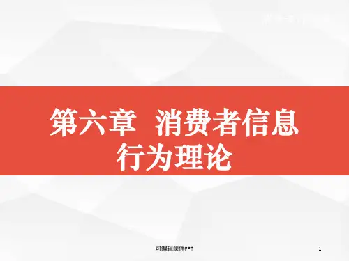 第六章消费者信息行为理论PPT课件