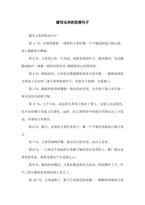 描写玉米的优美句子