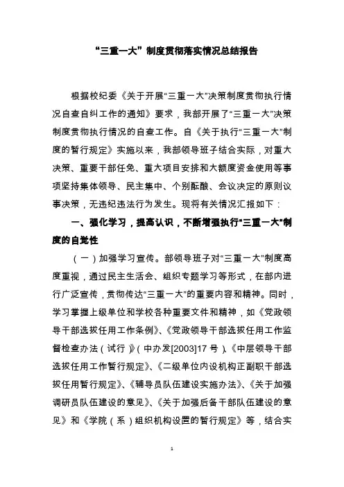 三重一大落实情况总结报告