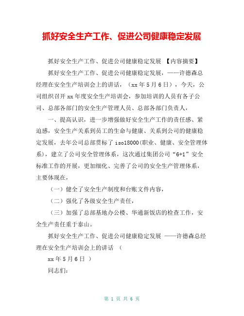 抓好安全生产工作、促进公司健康稳定发展【共6页】