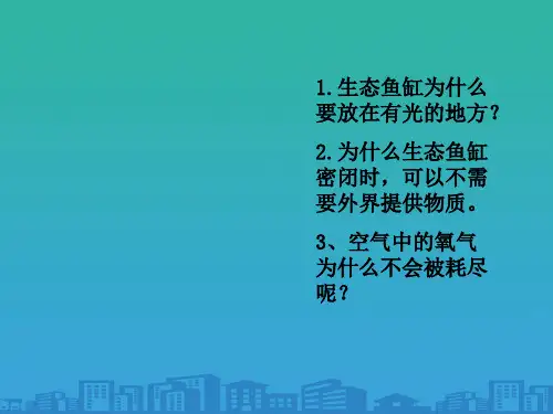 人教版  生物 必修三 5-3生态系统的物质循环(共28张ppt)
