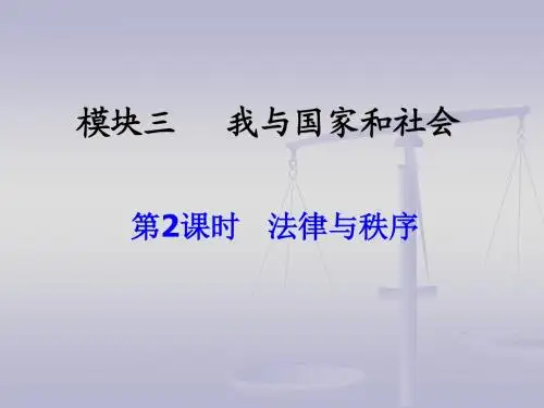 法律与秩序(二)