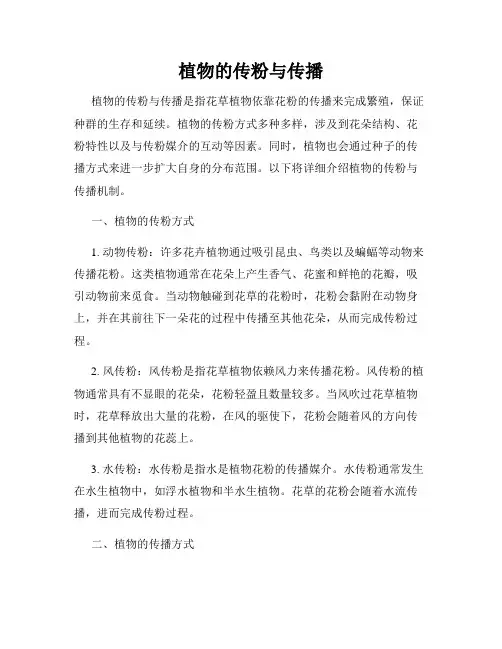 植物的传粉与传播