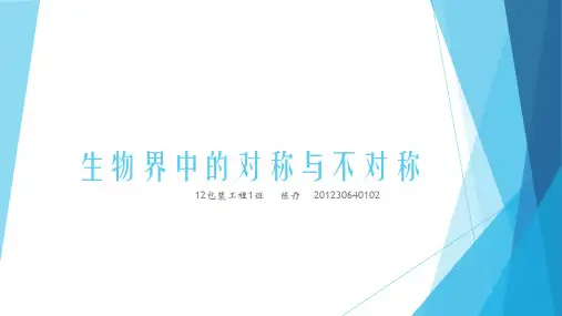 生物界中的对称性